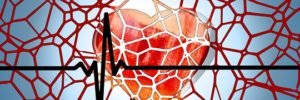 A regeneração de células do músculo cardíaco pode ajudar muitos pacientes que sofrem de insuficiência cardíaca