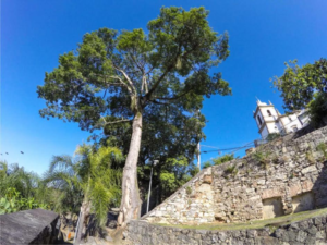 Parque Municipal Outeiro da Glória receberá uma série de atividades culturais e sustentáveis durante a folia (Foto: Divulgação)