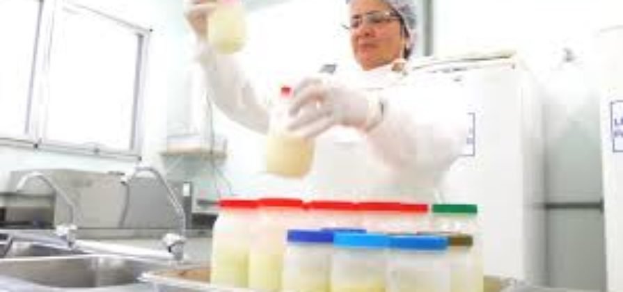 banco de leite humano